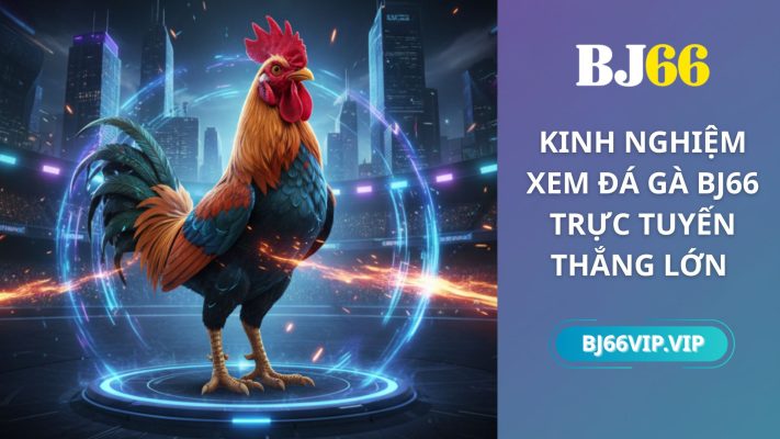 kinh nghiệm xem đá gà bj66